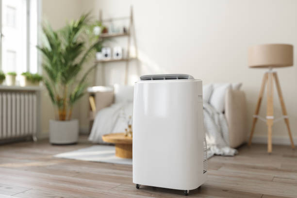 Best HVAC Cleaning Services  in Haines City, FL